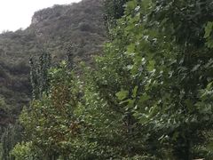 -幽岚山·童话森林