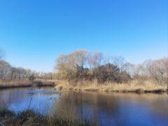 -大兴滨河森林公园