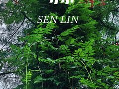 -东湖磨山景区