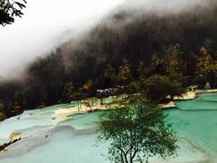 -黄龙山原始森林景区