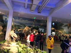 -自贡恐龙博物馆