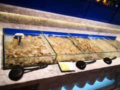 -火锅岛潮牌自助餐厅(天津天佑城店)