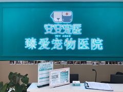 -安安宠医·臻爱宠物医院·宠保定点(营门口路分院)