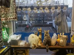 -平行世界·猫咖(首经贸店)