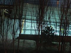 -上海旅游集散中心(万体站)