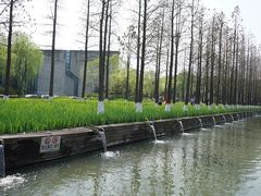 -圩墩遗址公园