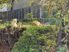 -石家庄市动物园