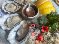 -普朗姆生蚝牛排馆 The Plump Oyster(成都摩方购物中心店)