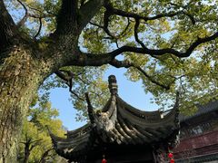 -豫园