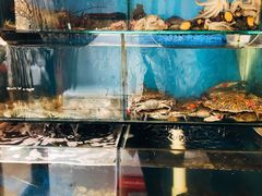 水产区-小郭私房菜·海肠捞饭店(学士街店)