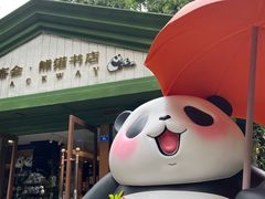 -轩客会(熊猫书店)