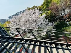 -IKEA宜家家居(南京商场)