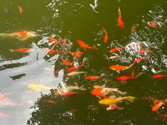 -狼山风景名胜区