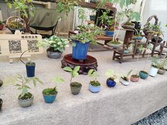 -苏州本色美术馆