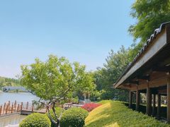 -塘沽森林公园