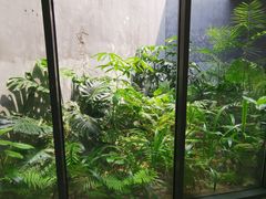 -大芬美术馆