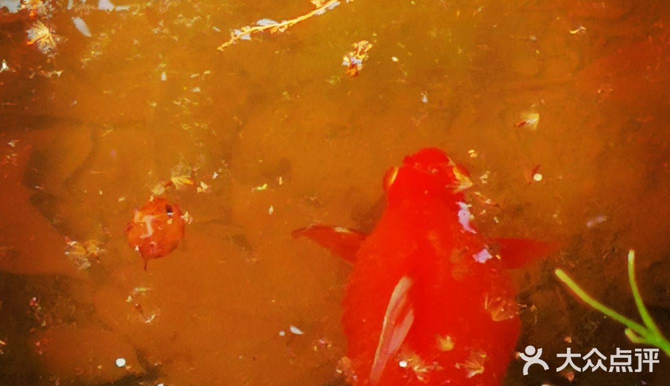 徐家汇光启公园