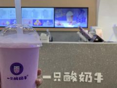 -一只酸奶牛(八一路店)