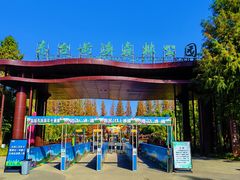 -黄海国家森林公园