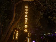 -印象普陀