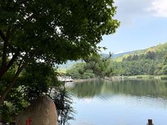 -庐山风景区花径公园