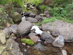 -云岫谷游猎自然风景区