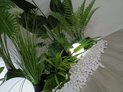 -HEYAN荷妍专业脱毛连锁机构