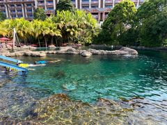 -新加坡水上探险乐园