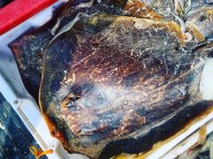 橡皮鱼-芦潮港集贸市场