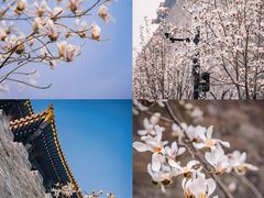 -东华门大街小区