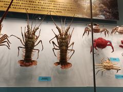 -天津自然博物馆
