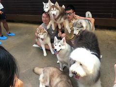 -TrueLove @ Neverland (Husky Cafe)
