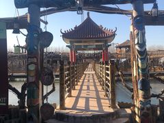 -呀路古热带植物园