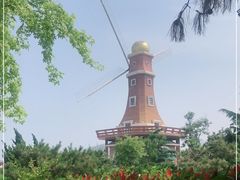 -拓恩帆船俱乐部