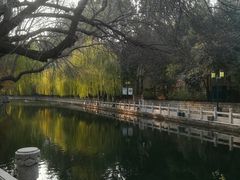 -环城公园