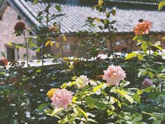 -百里峡七彩艺术小镇