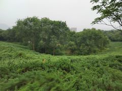 -滨河世纪广场公园
