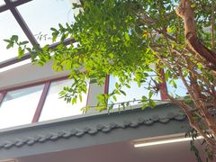 -小街47號江湖菜(四合院店)