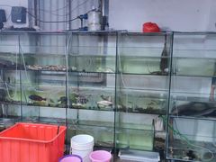 -永发渔庄(六鳌店)