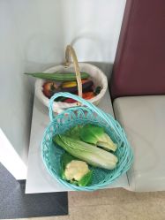 -睿宝儿科·眼科·口腔(杨浦新江湾城店)