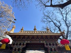 -护国法轮寺