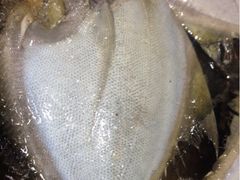 香煎乌枪鱼-郑厨私房菜