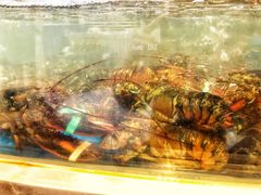 -盒马鲜生(莱蒙都会店)