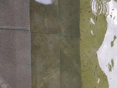 -咸宁万豪温泉谷度假区