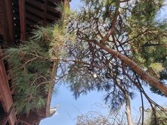 -龙华寺