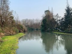 -桤木河湿地公园