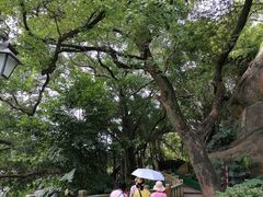 -乌山风景区