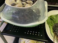 -蚝专家