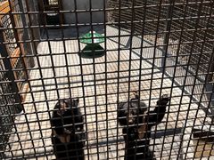 -水上乐园·欢乐世界