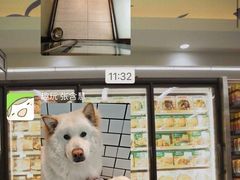 -趣玩宠物乐园寄养训犬训狗游泳池